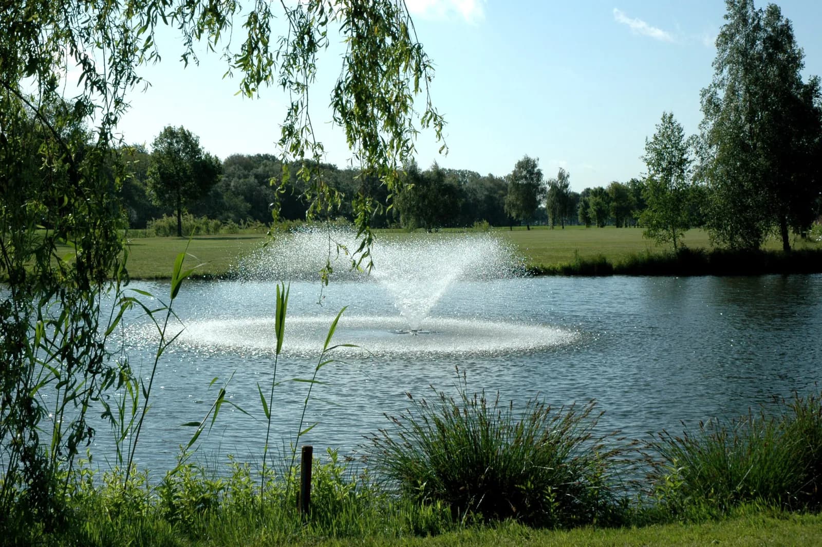 The course at Golf- & Countryclub Geijsteren