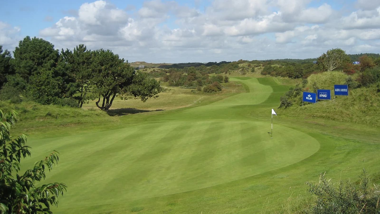 Een green tussen de duinen op Kennemer, met dennen links en de fairway die erachter omhoog loopt
