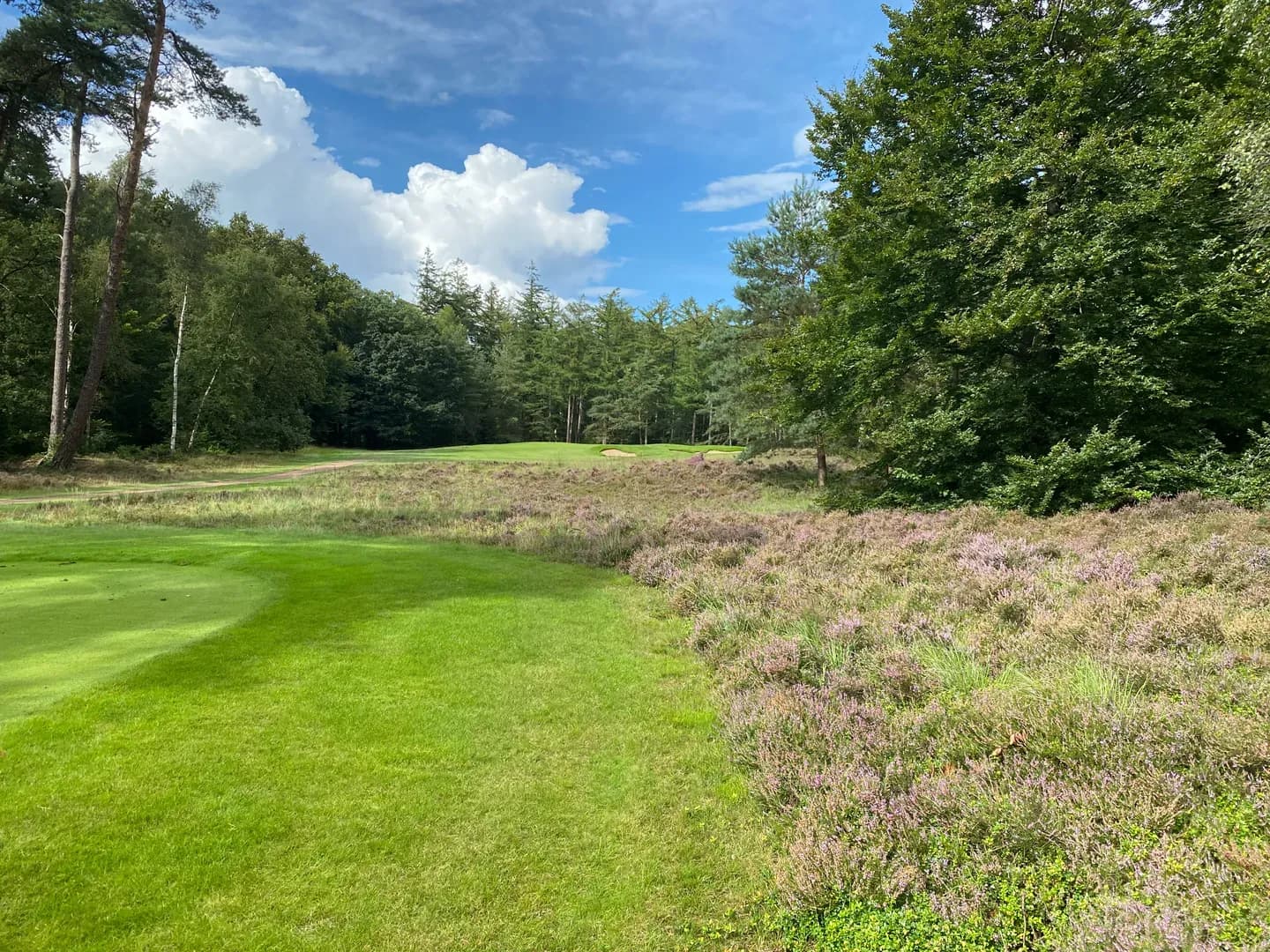 The course at Golf & Country Club Lauswolt
