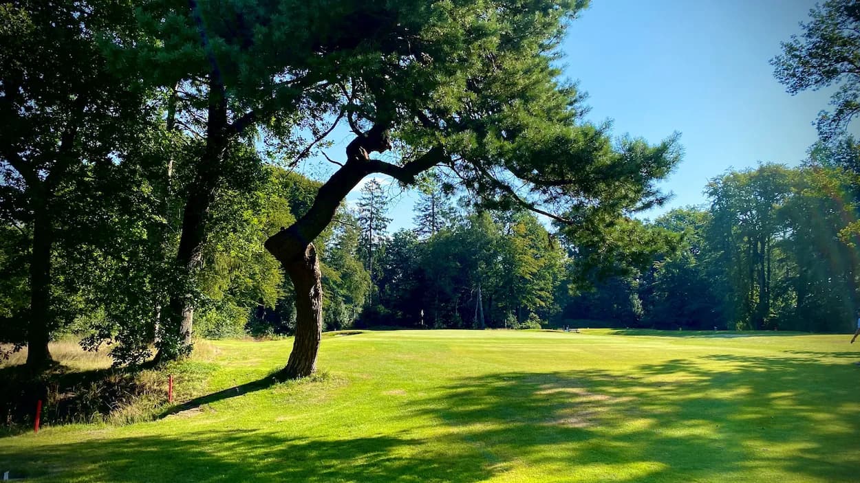 The course at Noord-Nederlandse Golf & Country Club