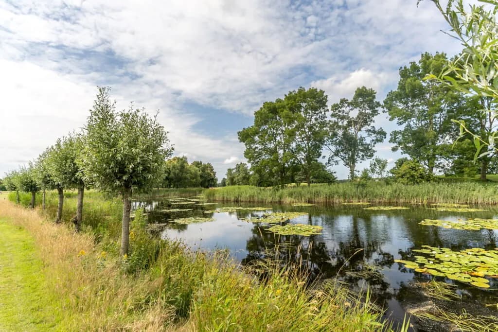 The course at Golfpark Sint Nyk