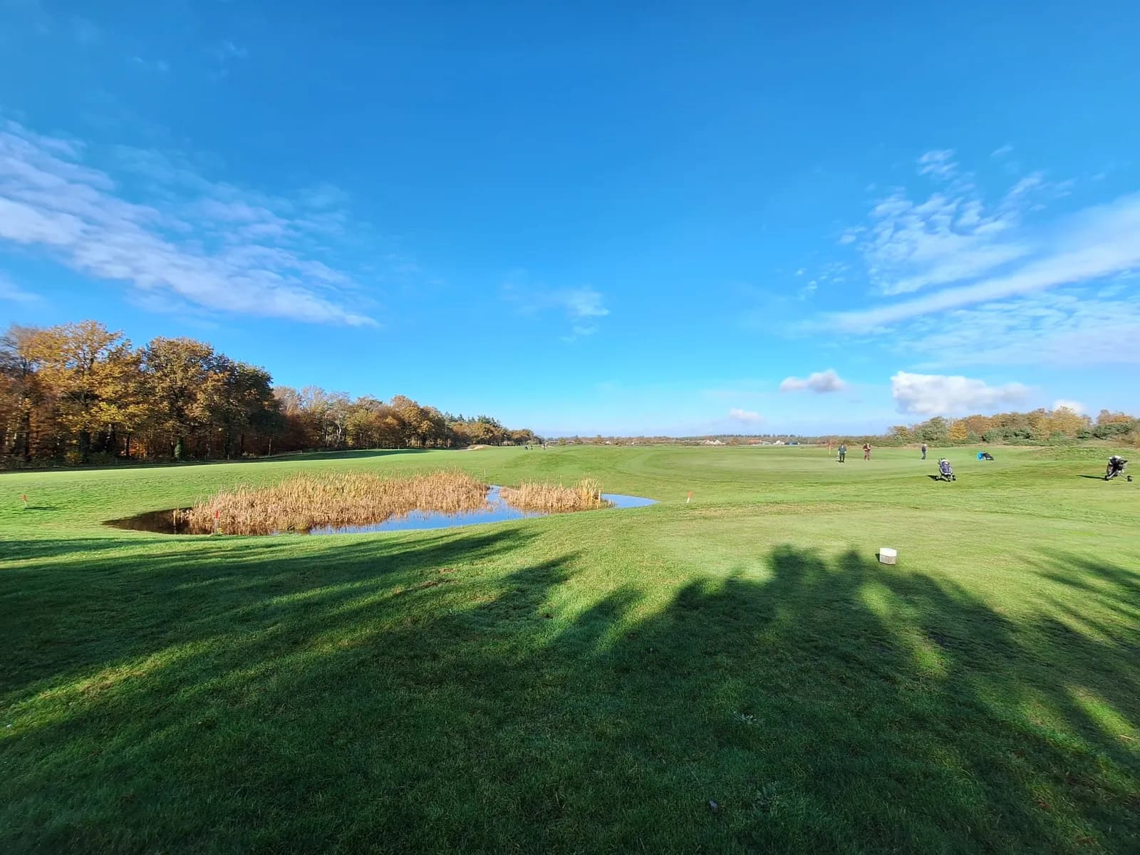 The course at Golfbaan De Swinkelsche