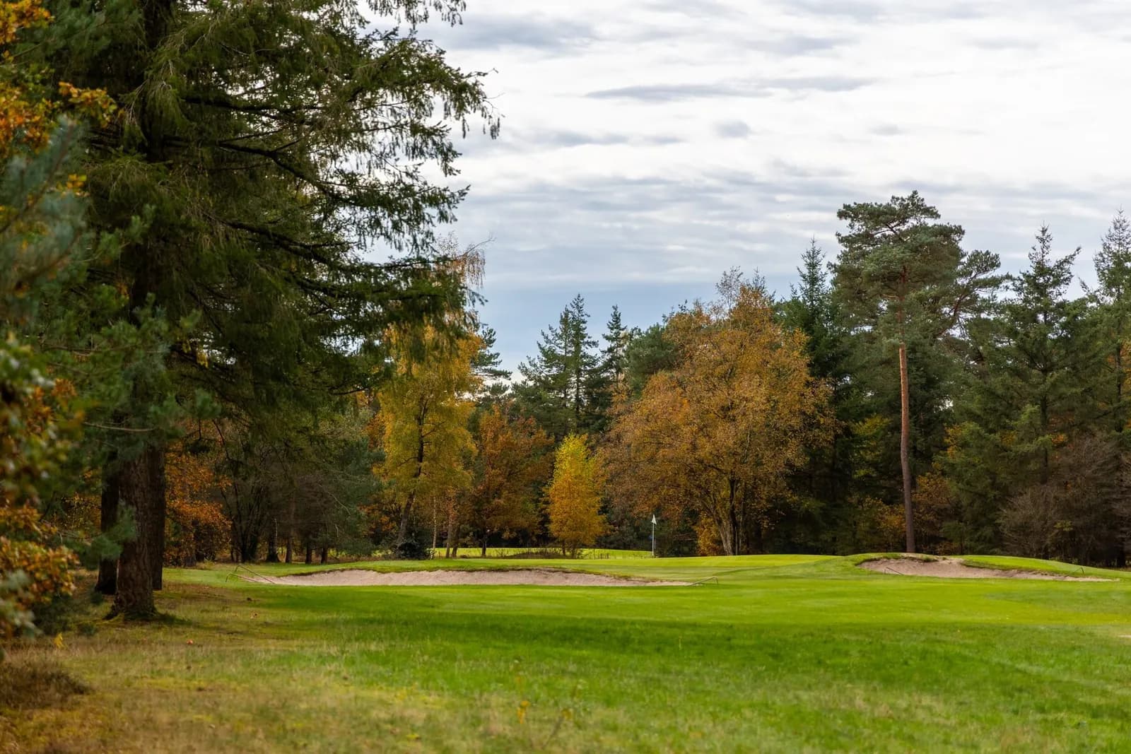 The course at Hooge Graven Golfclub Ommen