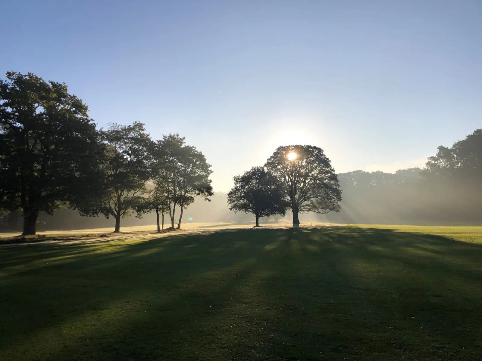 The course at Sallandsche Golfclub 'de Hoek'