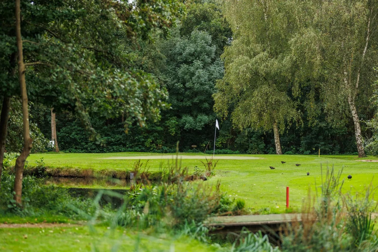 De baan van Golfbaan Schinkelshoek