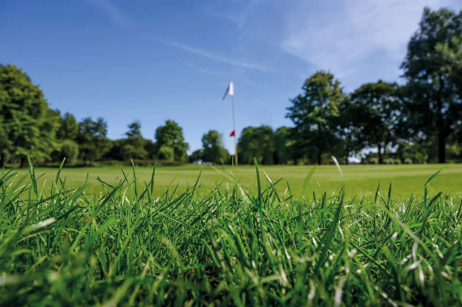 The course at Zaanse Golf Club